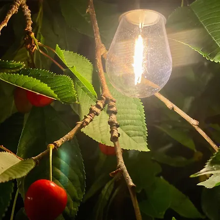 Malicia Family Apartament